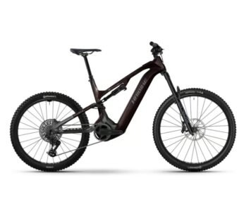 Haibike Allmtn CF 9 black platinum 2026